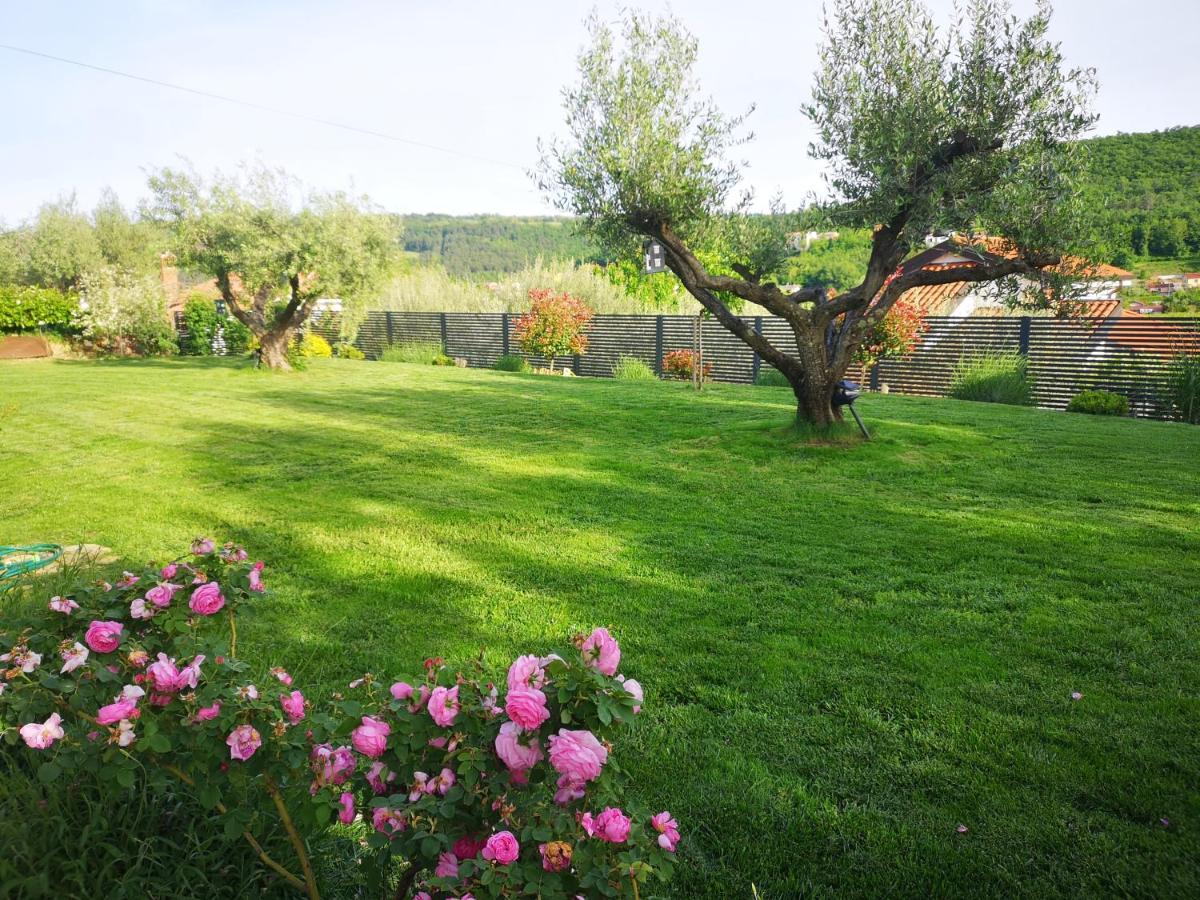 New Istrian Experience By Istrian Apartments Koper Bagian luar foto
